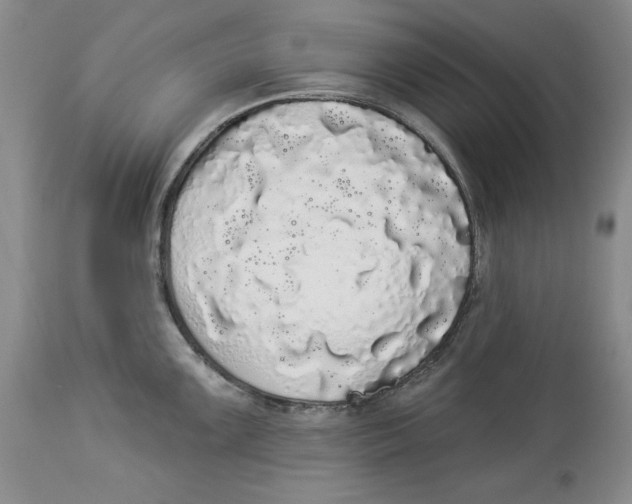 X0000113981099200910231702