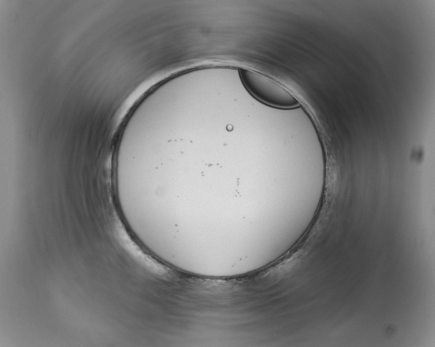 X0000113981100200910231702