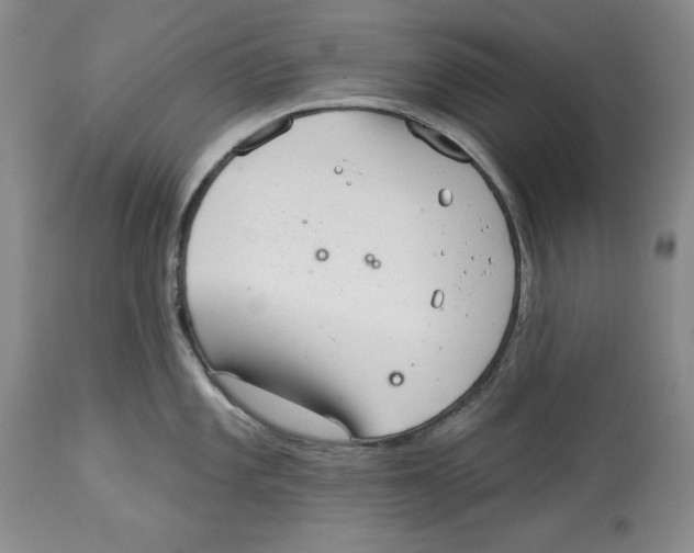 X0000113981101200910231702