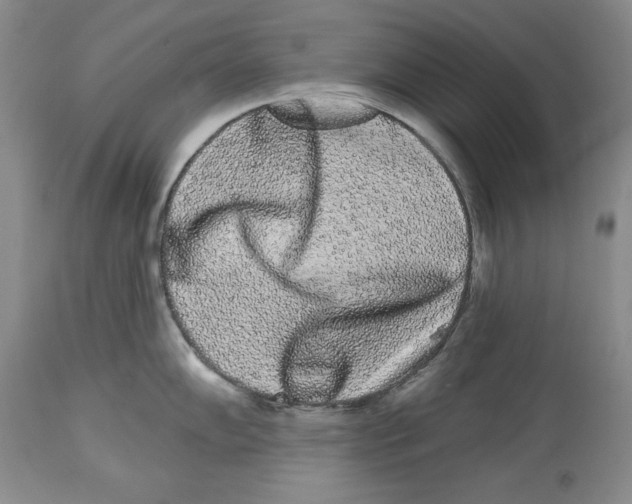 X0000113981102200910231702