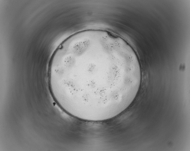 X0000113981103200910231702