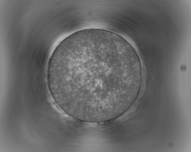 X0000113981104200910231702