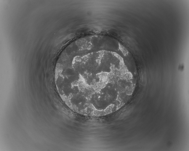 X0000113981105200910231702