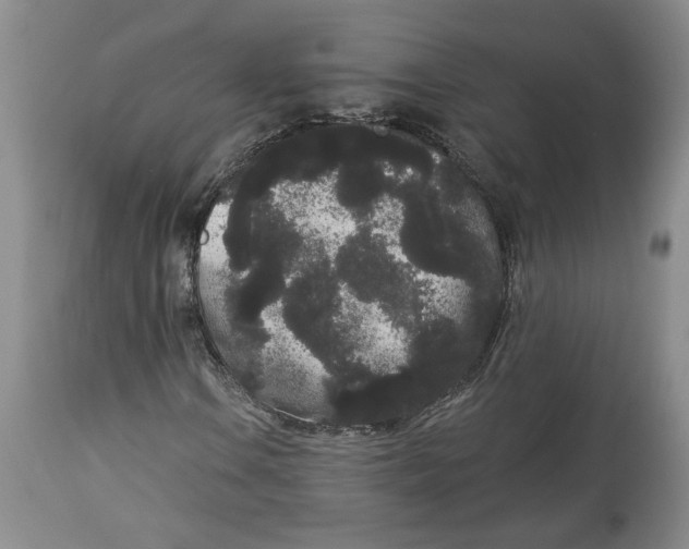 X0000113981106200910231702