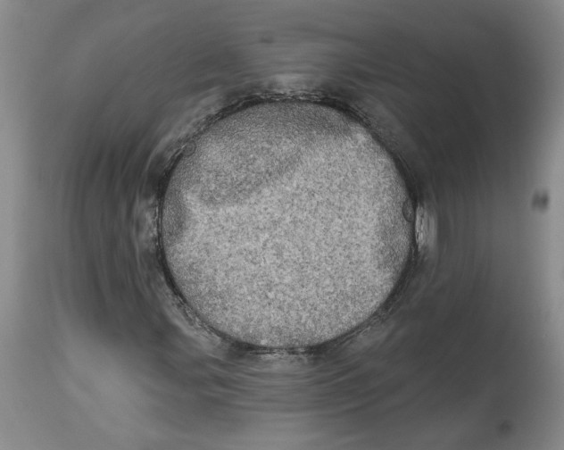 X0000113981107200910231702