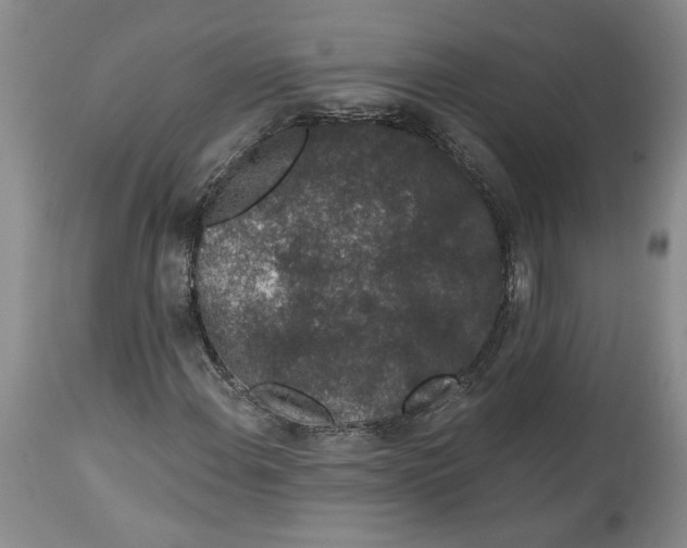 X0000113981108200910231702