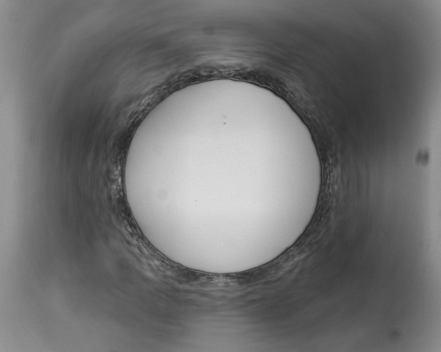 X0000113981109200910231702