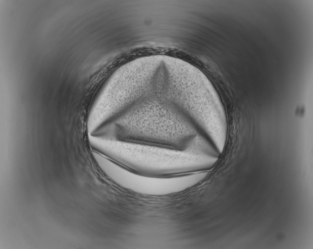 X0000113981110200910231702