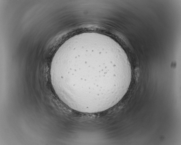 X0000113981111200910231702