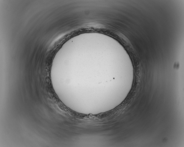 X0000113981112200910231702