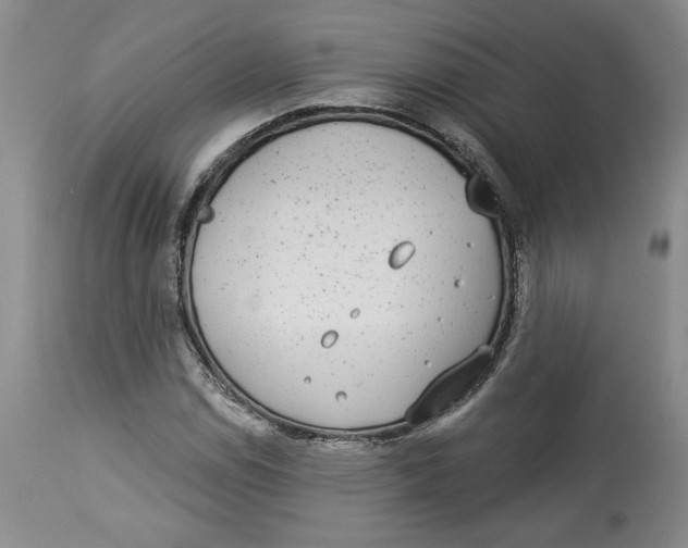 X0000113981114200910231702