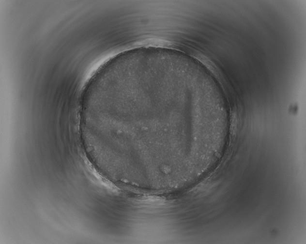 X0000113981115200910231702