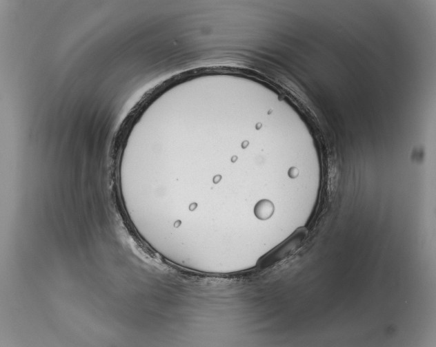 X0000113981116200910231702