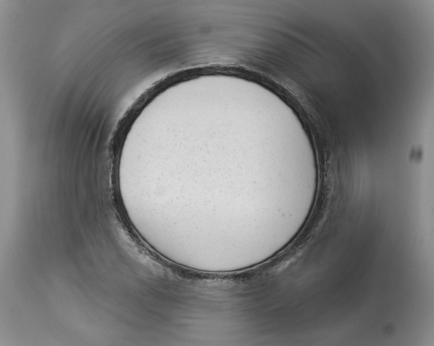 X0000113981118200910231702