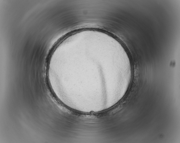 X0000113981119200910231702