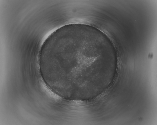 X0000113981120200910231702