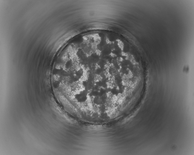 X0000113981121200910231702