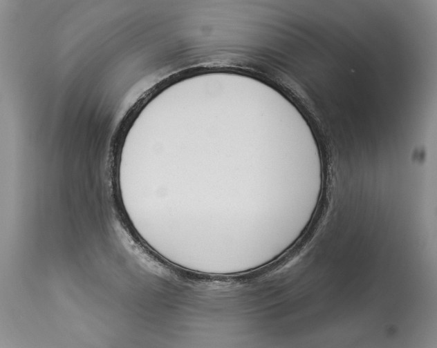 X0000113981122200910231702