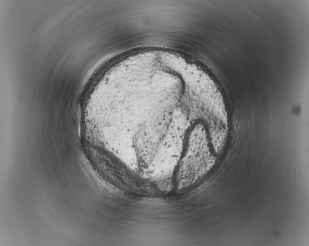 X0000113981123200910231702