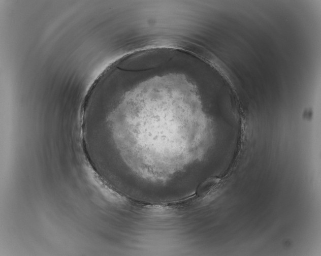 X0000113981124200910231702