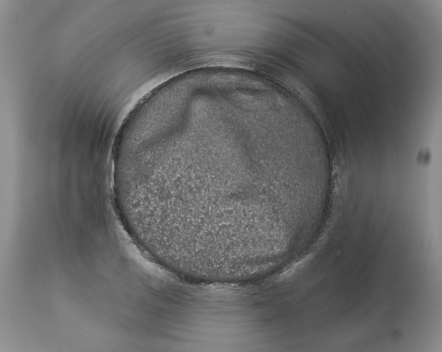 X0000113981125200910231702