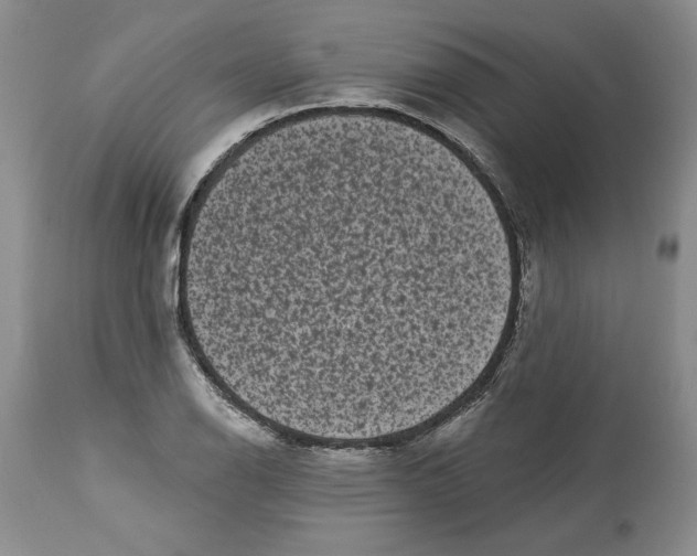 X0000113981126200910231702