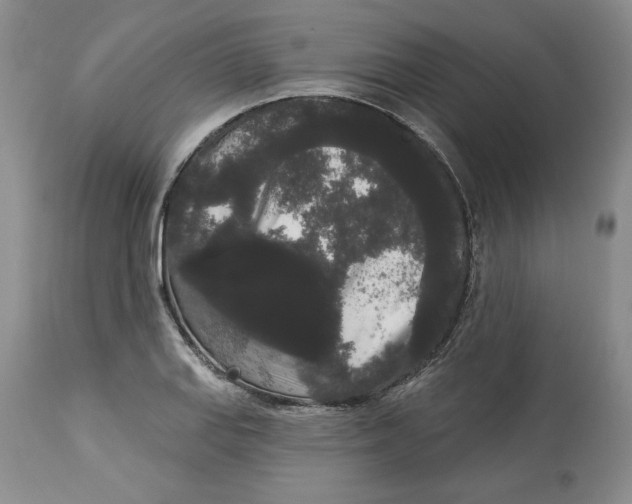 X0000113981127200910231702