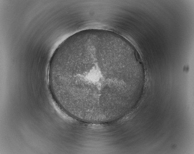 X0000113981128200910231702