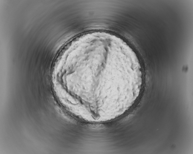 X0000113981129200910231702