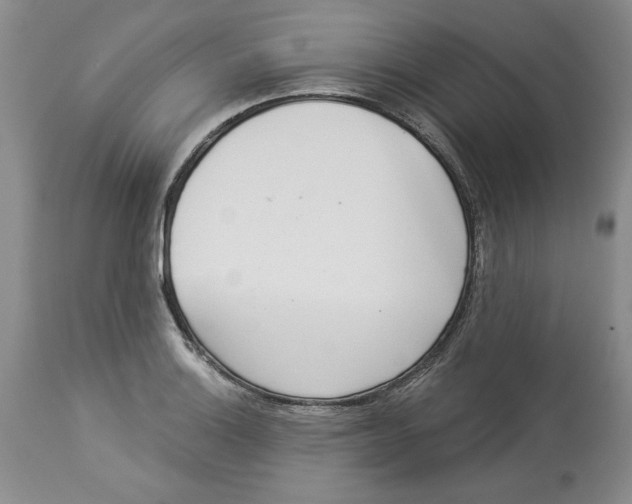 X0000113981132200910231702