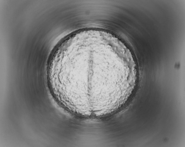 X0000113981133200910231702