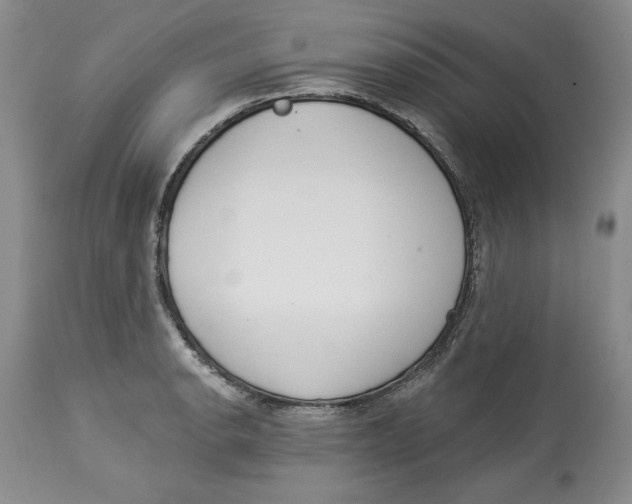 X0000113981134200910231702