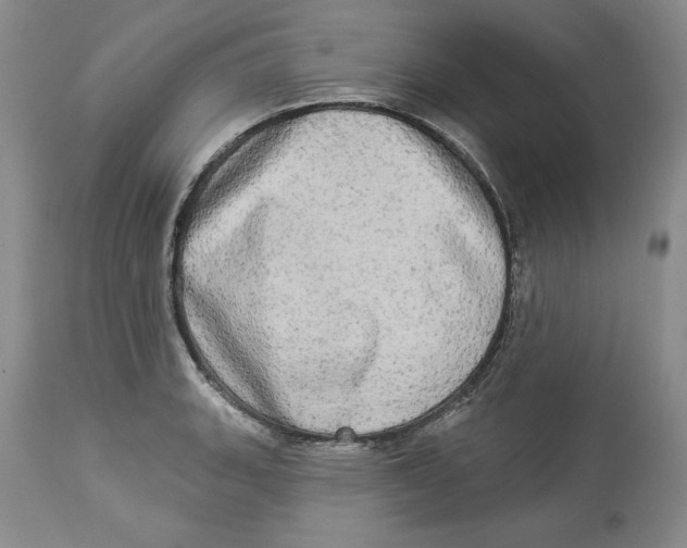 X0000113981135200910231702