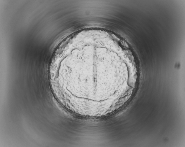 X0000113981137200910231702