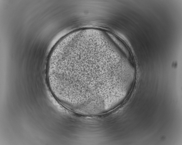 X0000113981138200910231702