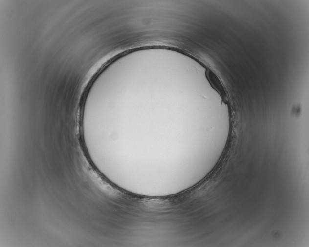 X0000113981140200910231702