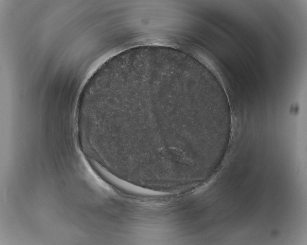 X0000113981141200910231702