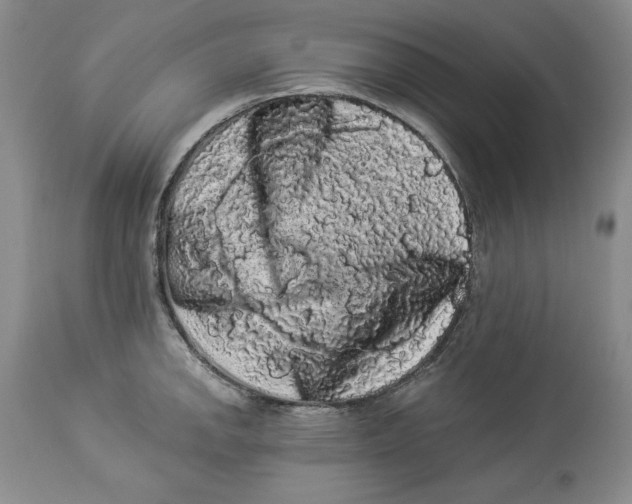 X0000113981142200910231702