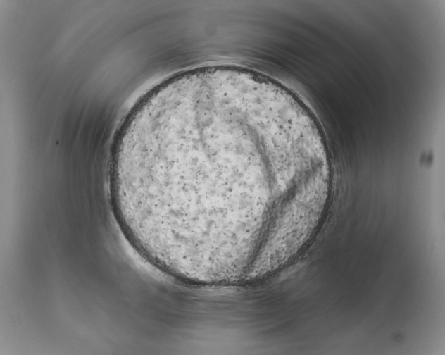 X0000113981143200910231702