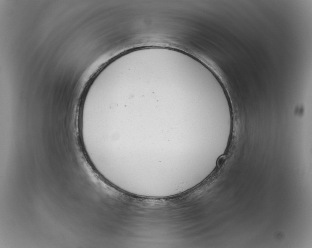 X0000113981144200910231702