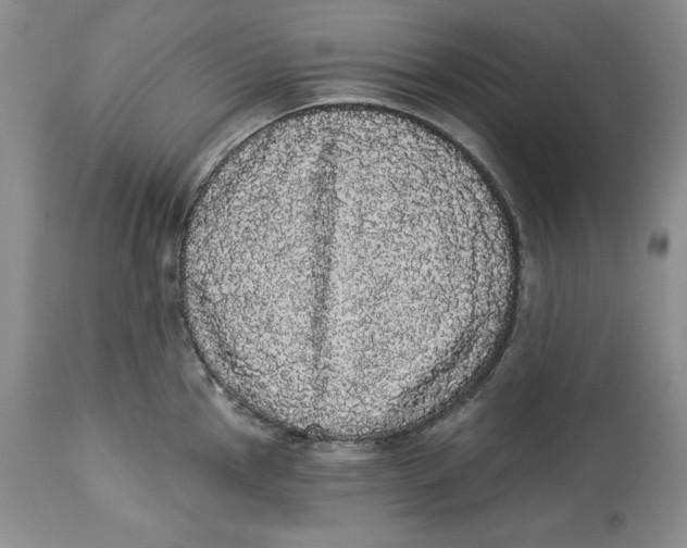 X0000113981145200910231702