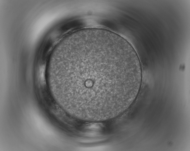 X0000113981150200910231702