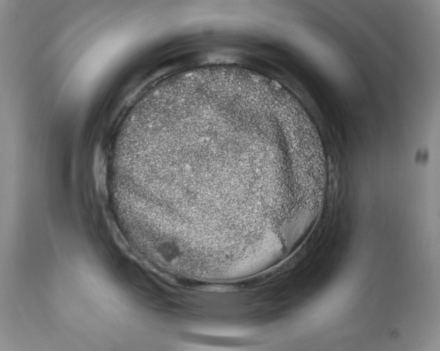 X0000113981151200910231702