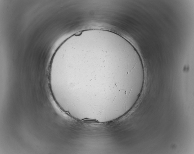 X0000113981152200910231702