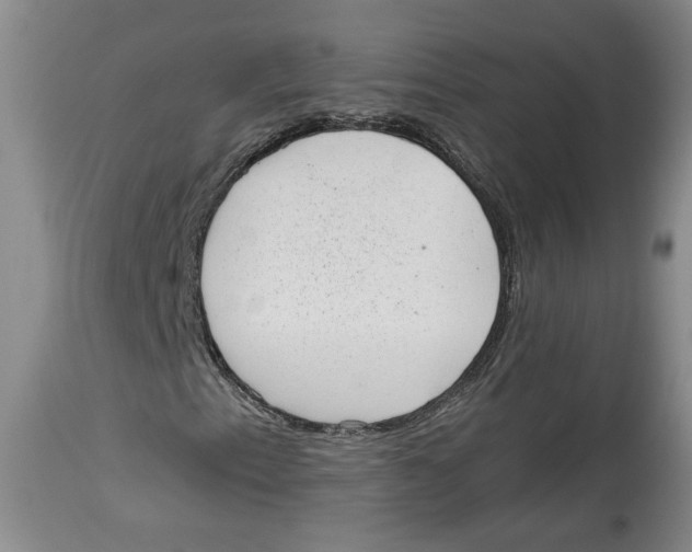 X0000113981153200910231702