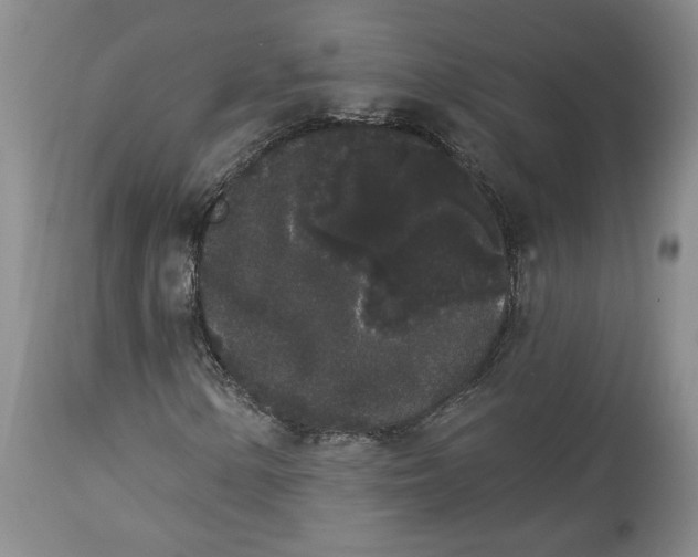 X0000113981154200910231702