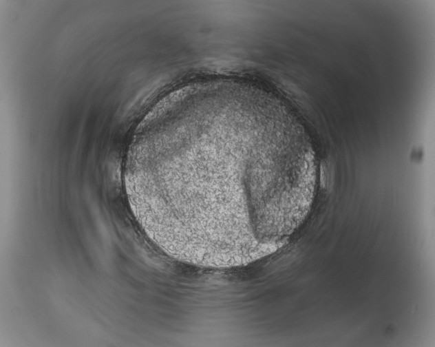 X0000113981155200910231702