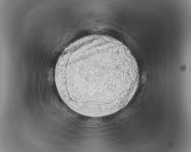 X0000113981156200910231702