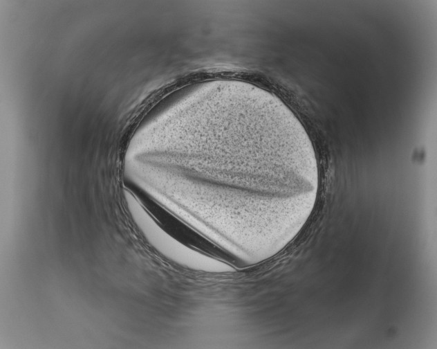 X0000113981157200910231702