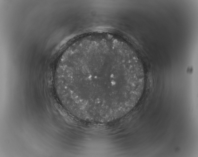 X0000113981158200910231702